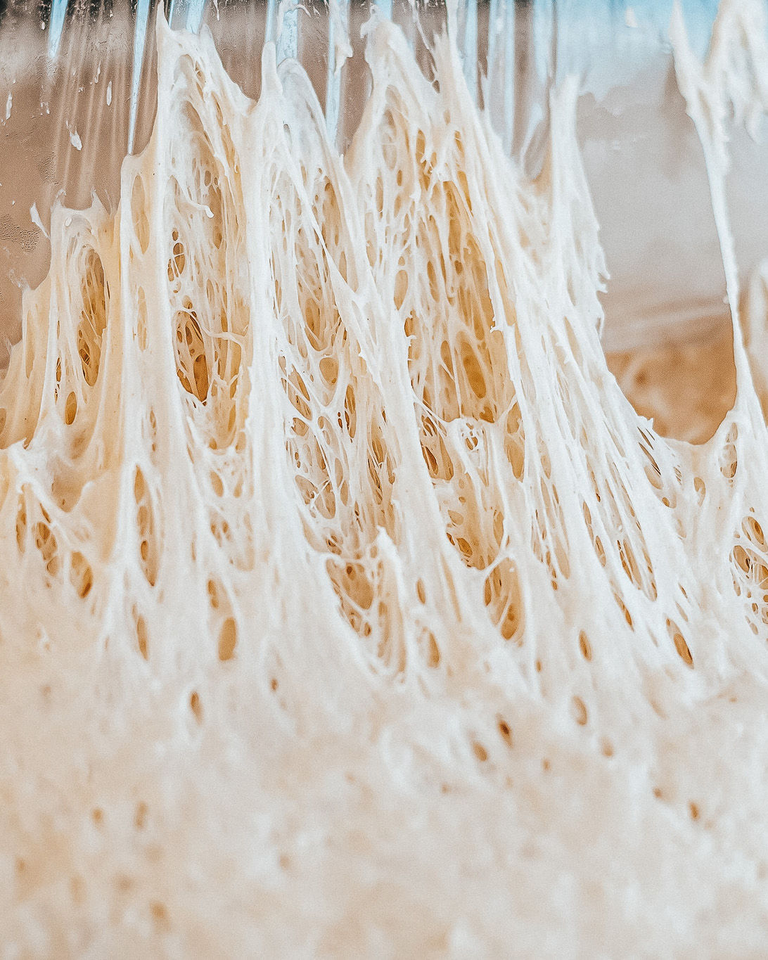 Bäckerei Schwandorf Regensburg